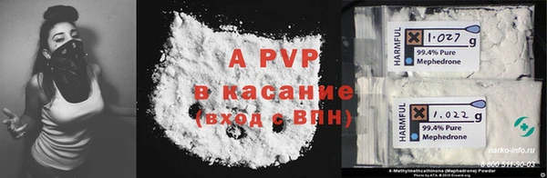 стаф Горняк