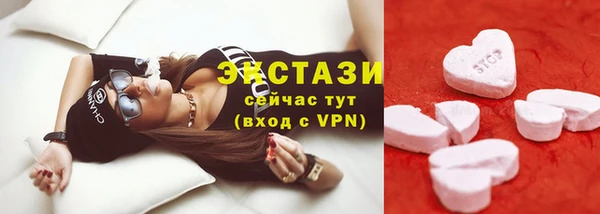 стаф Горняк