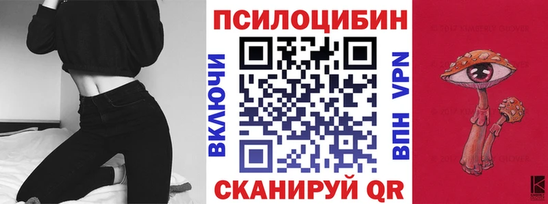 Псилоцибиновые грибы Psilocybine cubensis  Купить закладки  Таштагол 